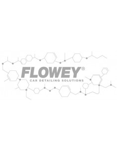 Logo Flowey CDS - NOTODOESDETAIL